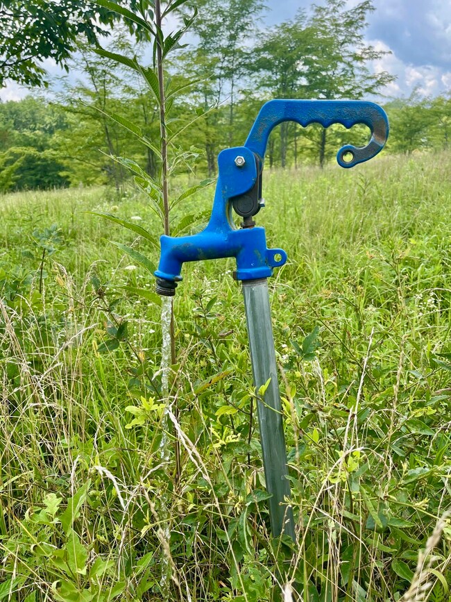 1658 Weems Rd, Southside, TN 37171 - photo 4