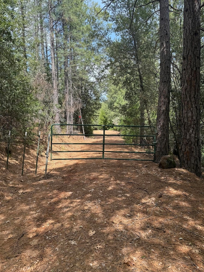 0 Ponderosa Way, Shingletown, CA 96088 - photo 4