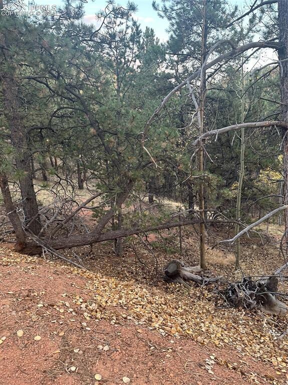 418 Valley Rd, Divide, CO 80814 - photo 5