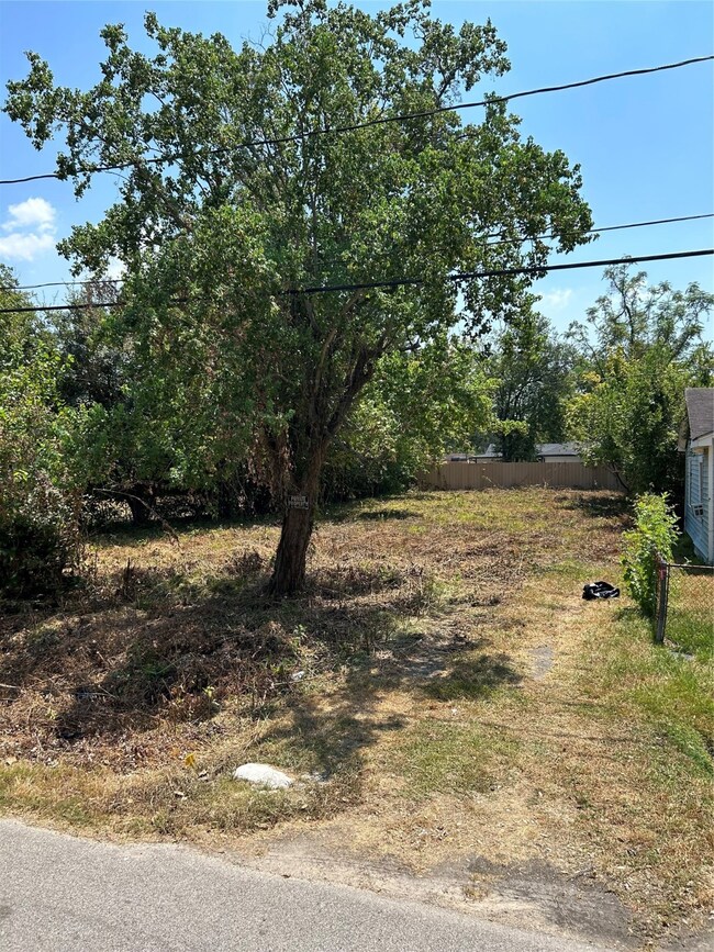 View from the road on the right side