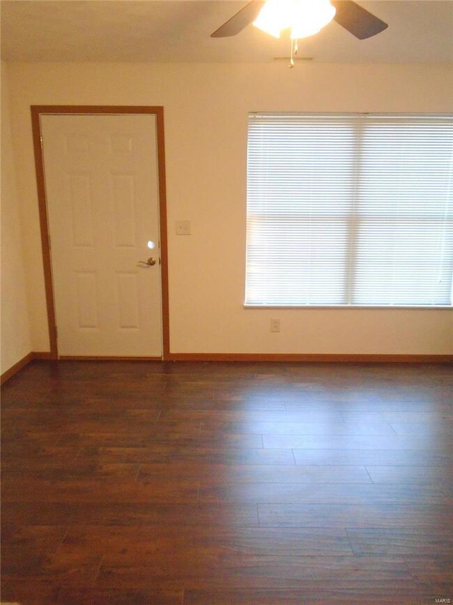 5 Sunset Dr unit A, Freeburg, IL 62243 - photo 5