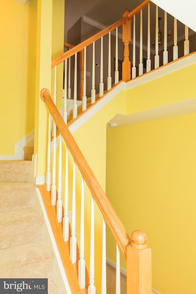 2465 Clover Field Cir, Herndon, VA 20171 - photo 7