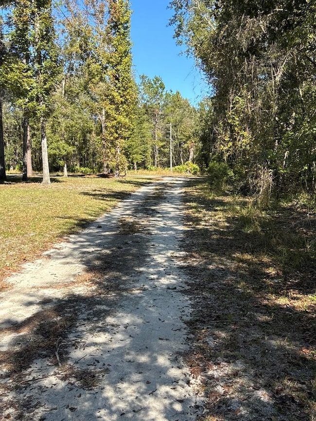 Lot 1 SE 843rd St, Old Town, FL 32680 - photo 2