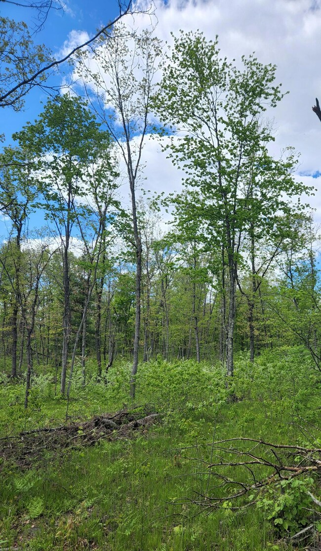 9577 N Woodbridge Dr Ave, Bitely, MI 49309 - photo 5