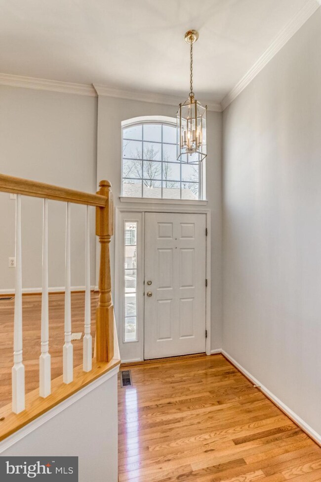 5303 Jesmond St, Alexandria, VA 22315 - photo 4