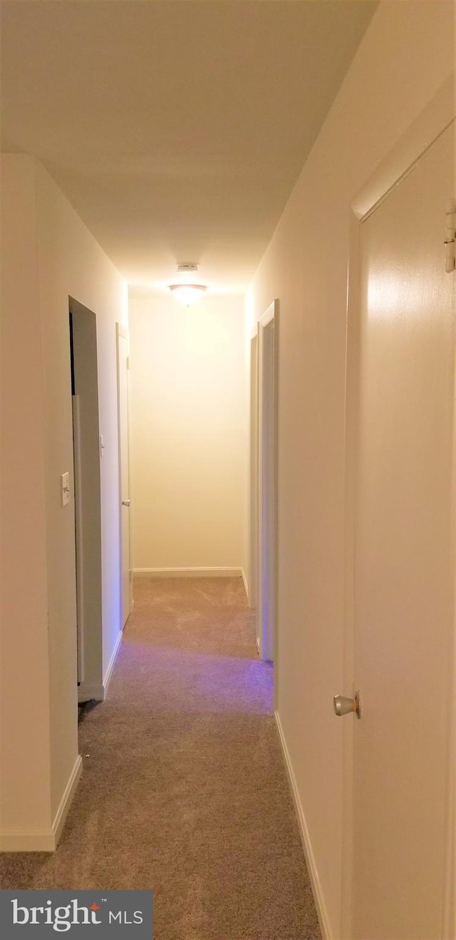 221 N Emory Dr unit 2, Sterling, VA 20164 - photo 7