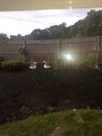 12 Ricciuti Dr unit 3, Quincy, MA 02169 - photo 4