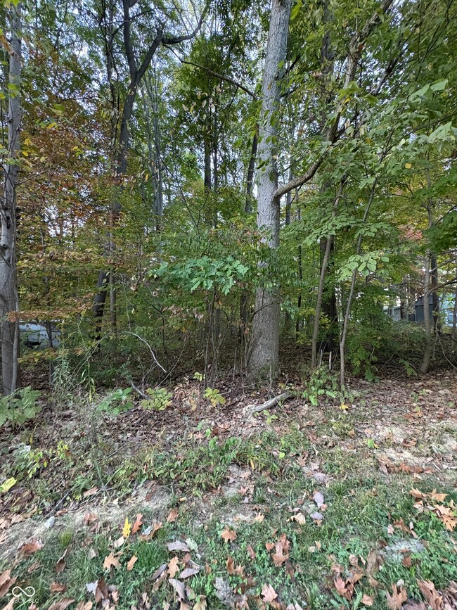 205 Stardust Way, Cloverdale, IN 46120 - photo 6