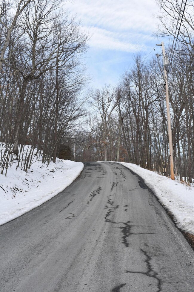 Lot 725 Locust Dr, Dingman Township, PA 18337 - photo 7