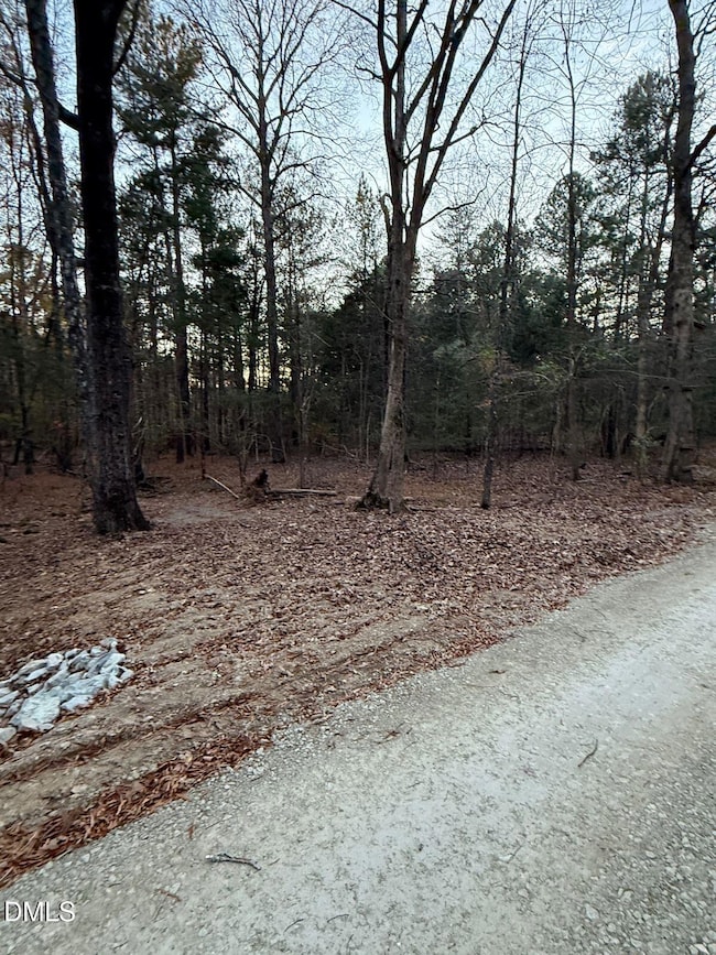 2636 Ritchie Rd, Bingham, NC 27516 - photo 3