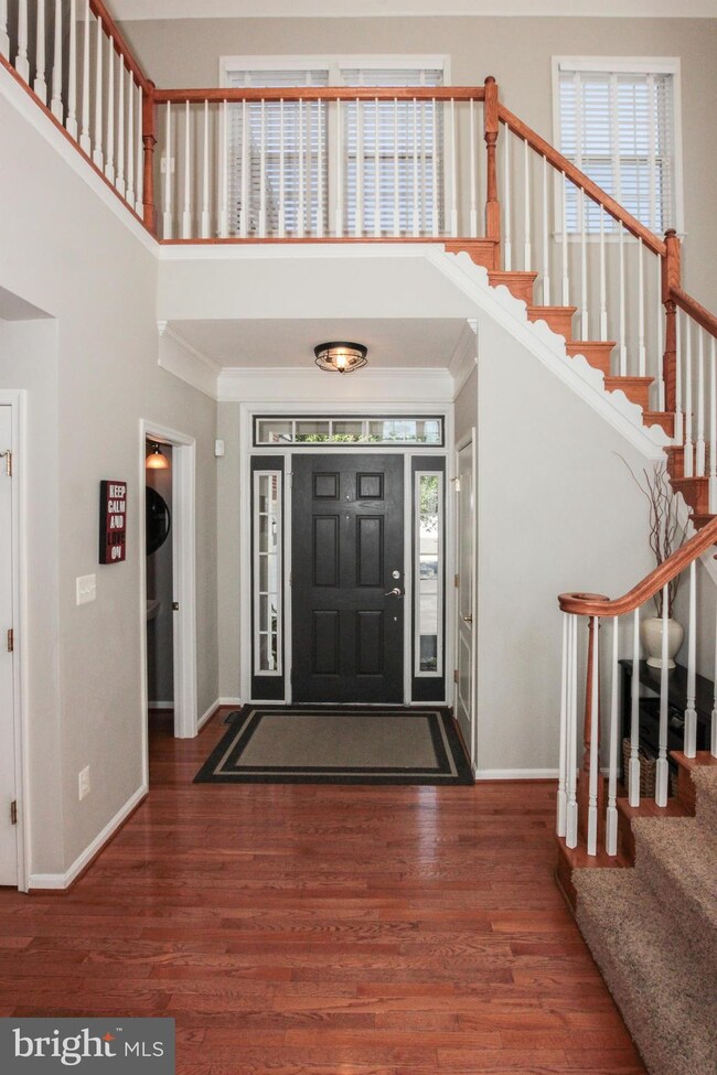 21617 Merion St, Ashburn, VA 20147 - photo 3