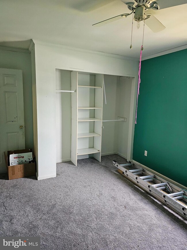 229 W Clayton Ave, Clayton, NJ 08312 - photo 5