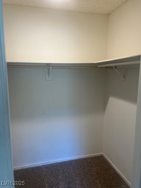 Spacious closet featuring dark colored carpet