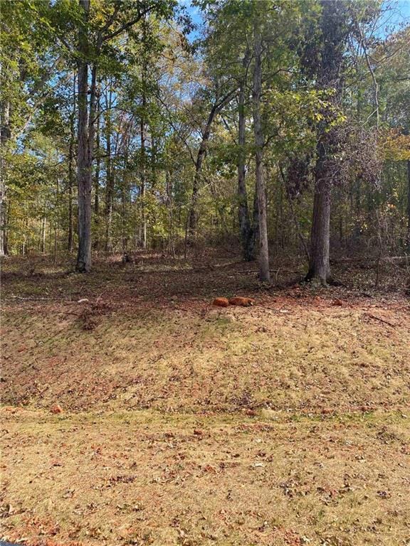 1234 Oconee River Lot 4 Dr, Jefferson, GA 30549 - photo 4