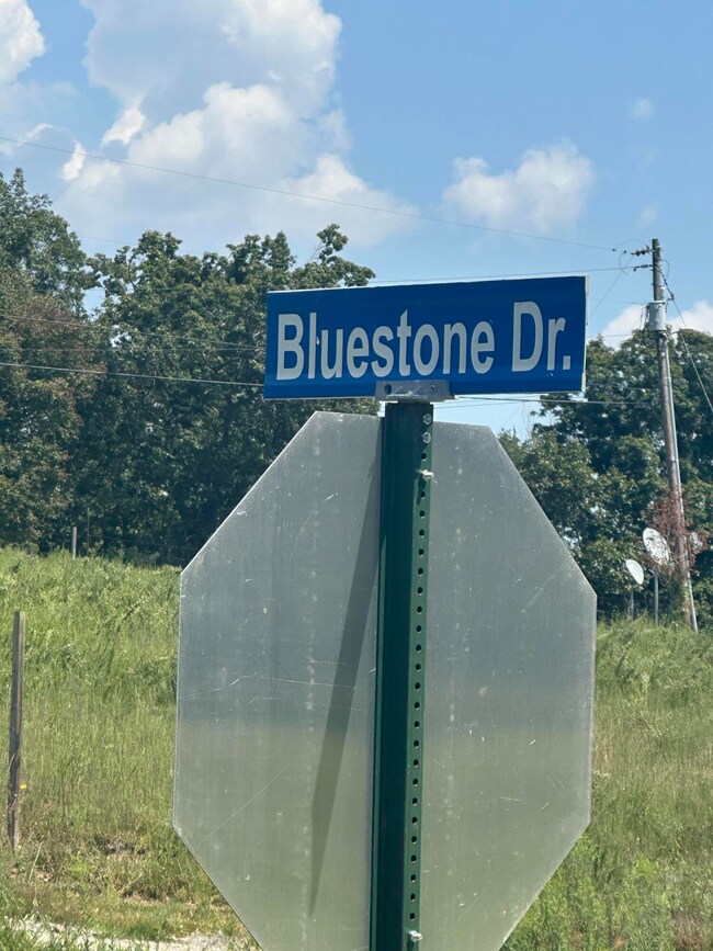 160  lot 67 Bluestone Dr, East Bernstadt, KY 40729 - photo 5