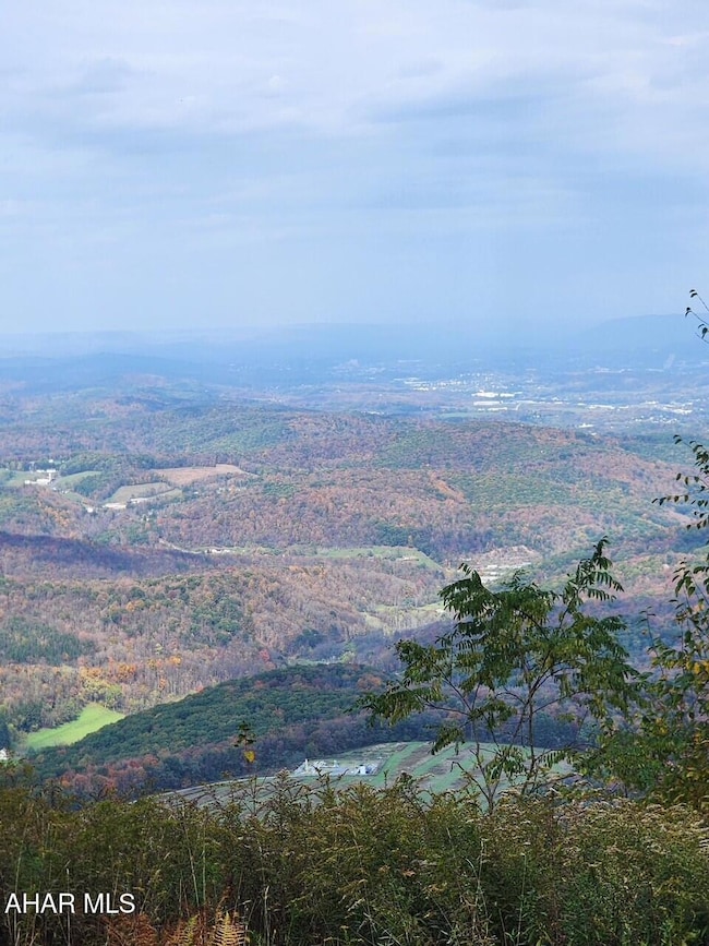 Lot 104 Overland Pass Rd, Claysburg, PA 16625 - photo 4