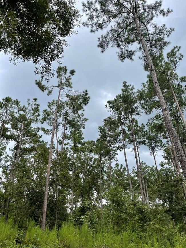 2235 Cr 620, Nacogdoches, TX 75964 - photo 5