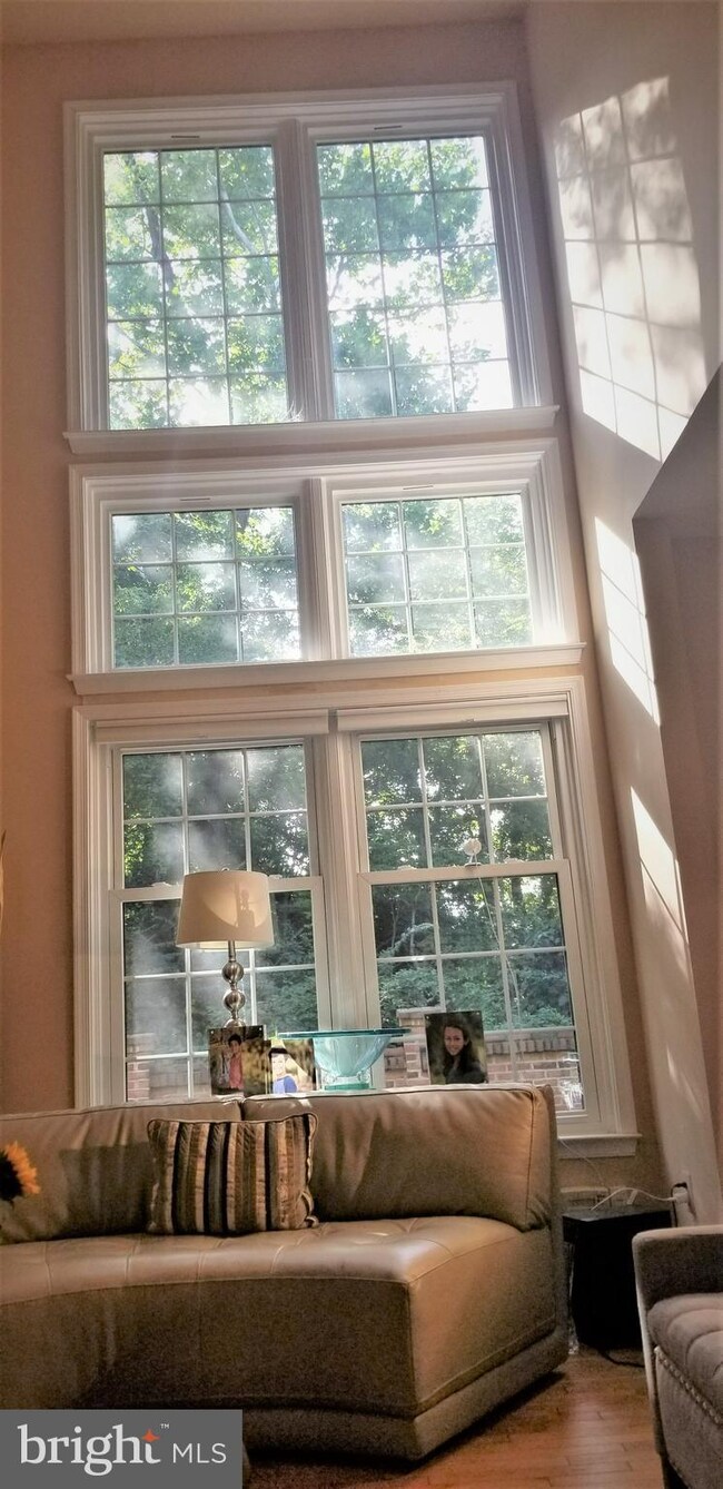 10952 Bloomingdale Dr, Rockville, MD 20852 - photo 7