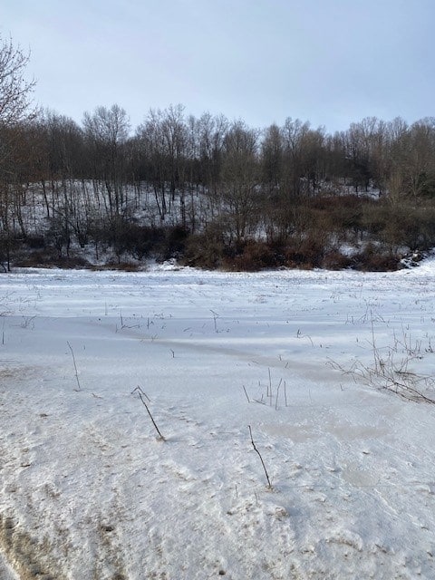 - Stony Fork Creek Rd, Wellsboro, PA 16901 - photo 3