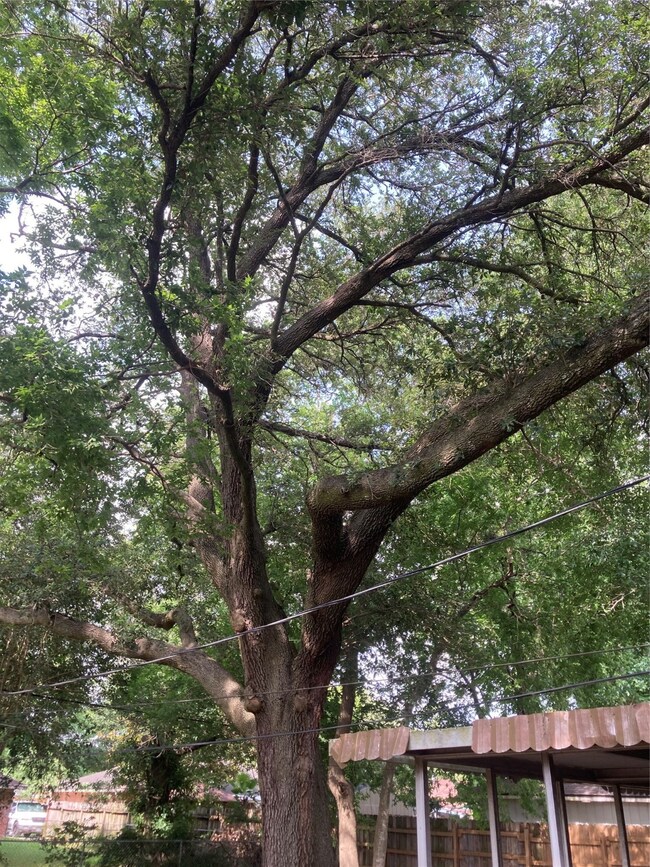 5718 Mackinaw St, Houston, TX 77053 - photo 7