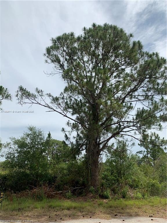 105 Citation St NW, Lake Placid, FL 33852 - photo 7