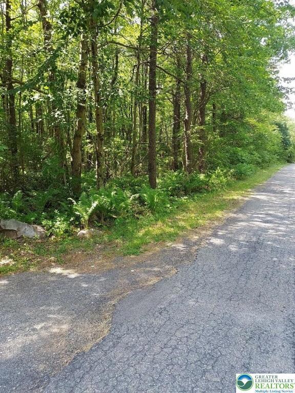 0 N Sycamore & Lauan Ln unit B193 & B194, Penn Forest Township, PA 18229 - photo 2