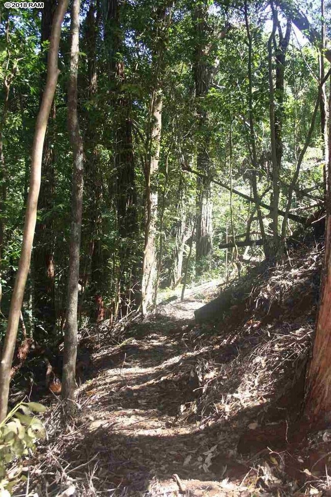 125 Ehu Rd unit E, Makawao, HI 96768 - photo 5