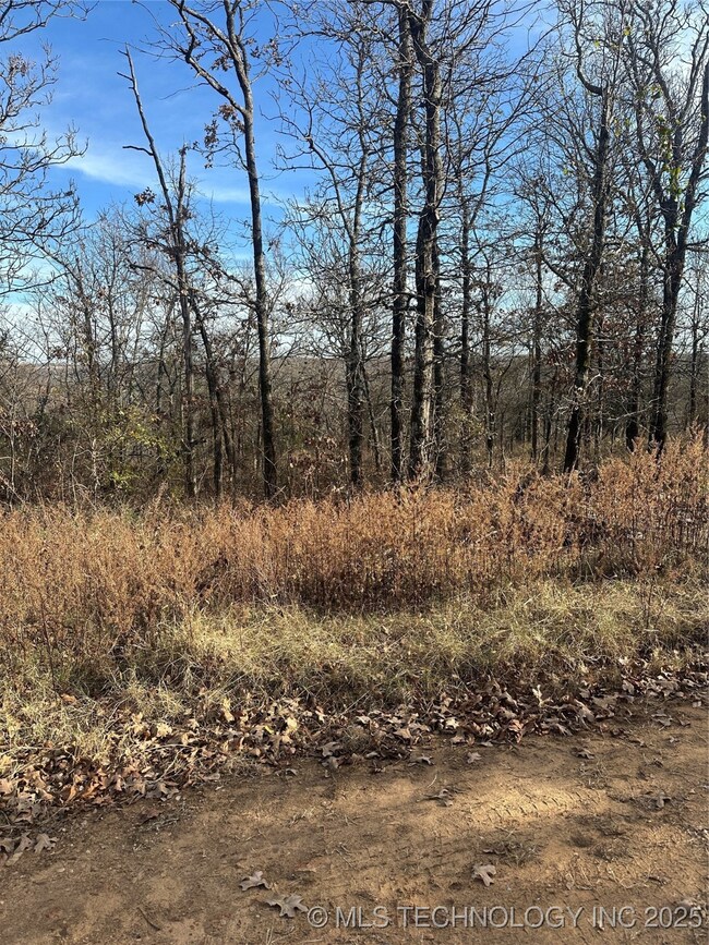 0 S 4557 Rd, Vian, OK 74962 - photo 2