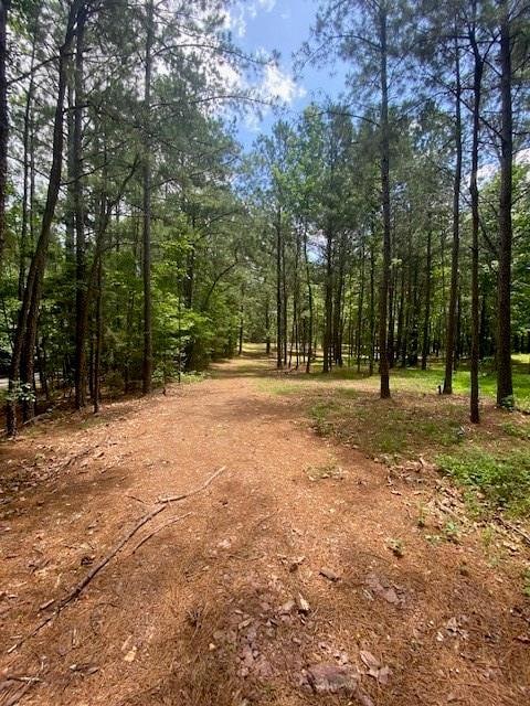 View of wooded area