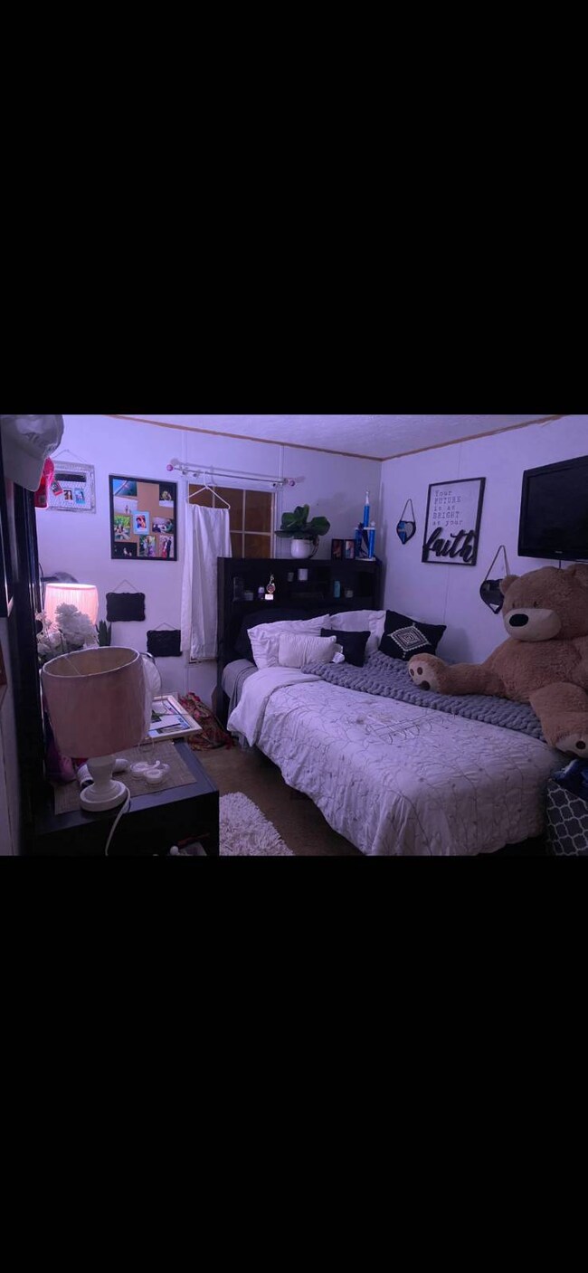 918 Craft St, Jefferson City, TN 37760 - photo 6