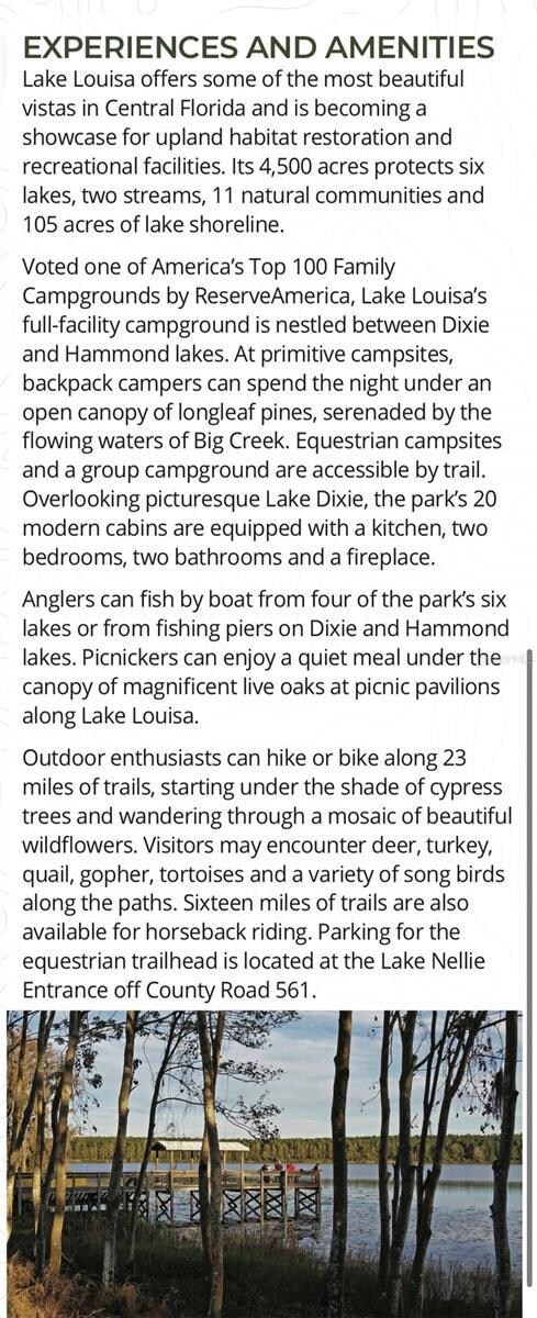 Lake Louisa State Park sits on the largest lake on the Clermont chain