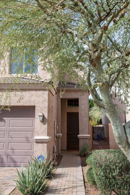 Pavered Walkway & Driveway