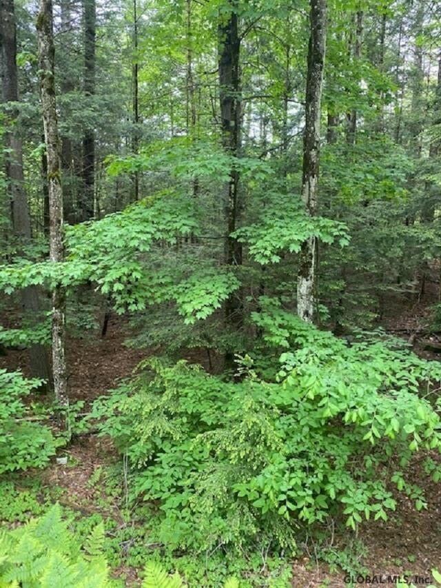 0 Parker Rd unit 202119719, Hadley, NY 12835 - photo 2