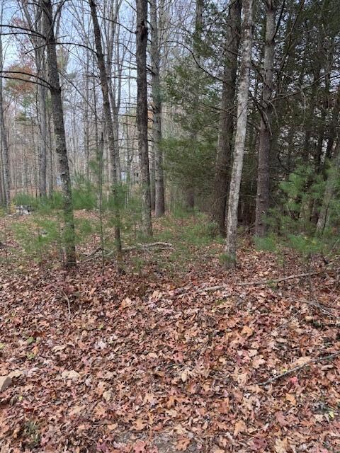 Lot 66 Sec Underwood Ln, Gap Mills, WV 24941 - photo 5