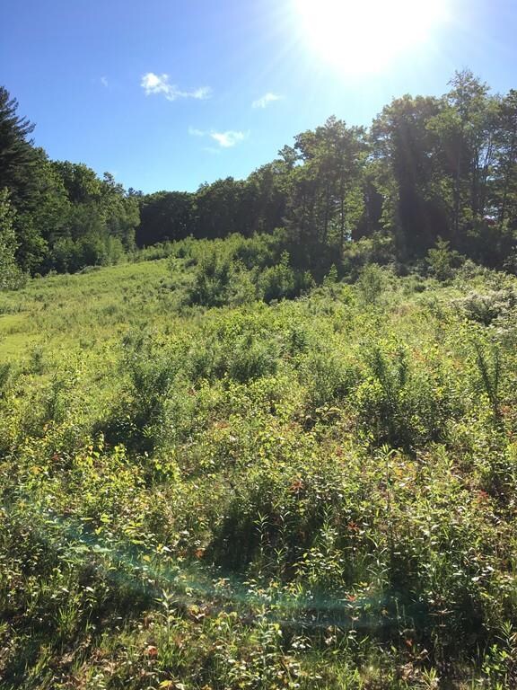 Lot 1A/2A Winsor Rd, Lancaster, MA 01523 - photo 3