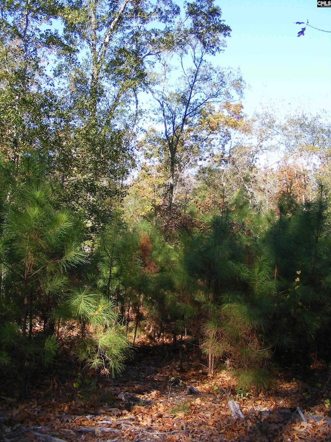 149 Branham Branch Rd, Swansea, SC 29160 - photo 6