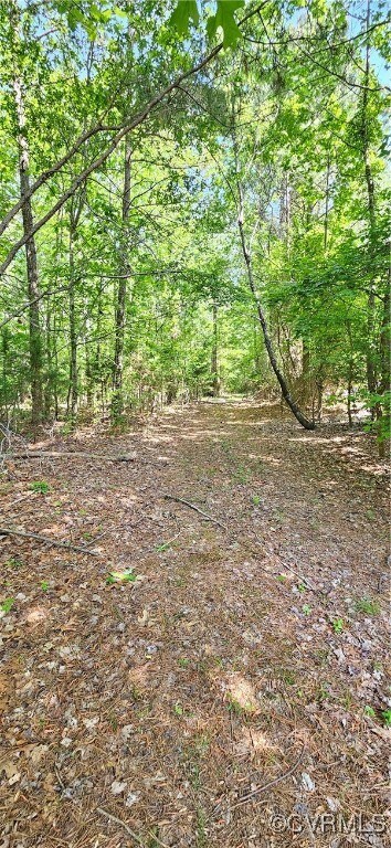 Woods road already existing into the property