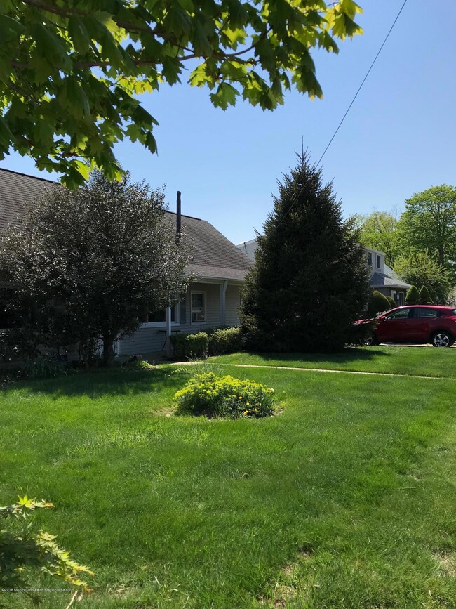 208 Norgrove-front yard with pine tree