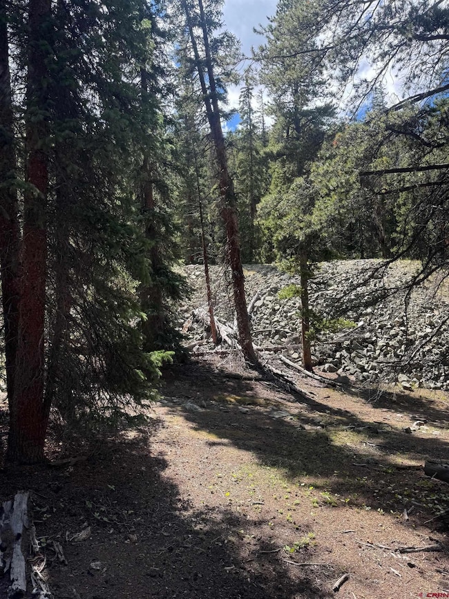 TBD Evenden, Almont, CO 81210 - photo 6