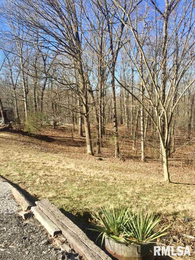 310 S Walnut Grove Rd, New Burnside, IL 62967 - photo 7