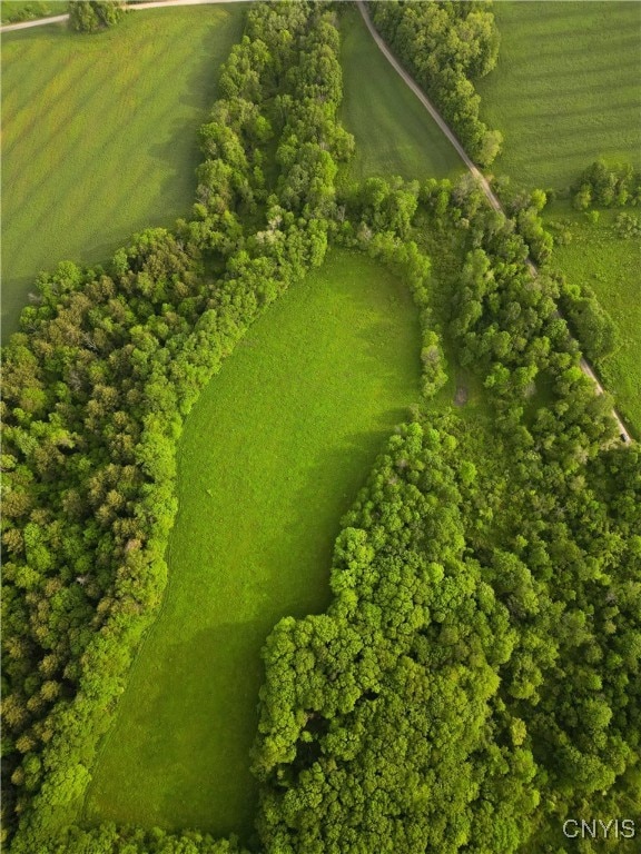 0 Searls Rd unit S1612623, Cortland, NY 13045 - photo 4