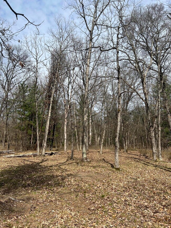 4440 W 8th St, Baldwin, MI 49304 - photo 3