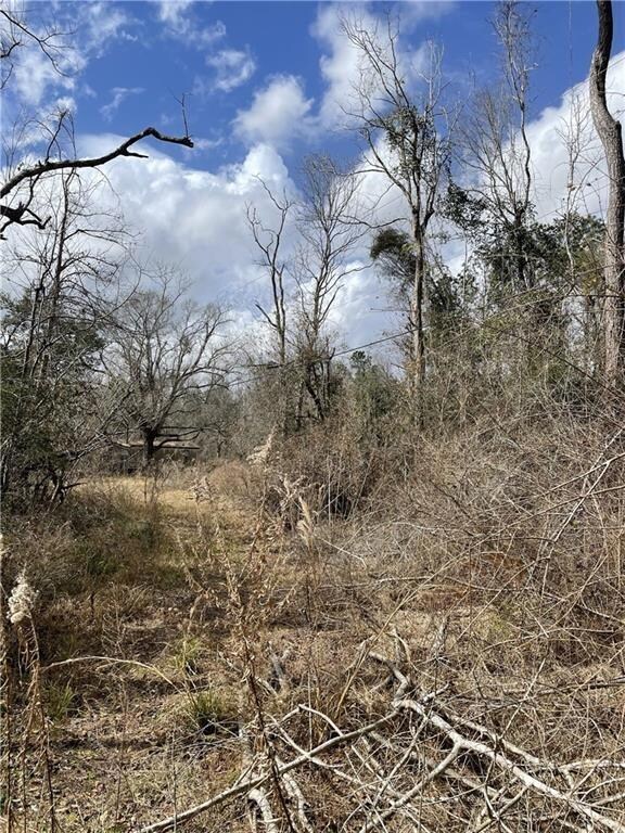 1779 Mitchell Rd, Vinton, LA 70668 - photo 4