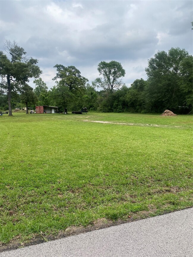 26032 Andy Ln, Magnolia, TX 77354 - photo 4