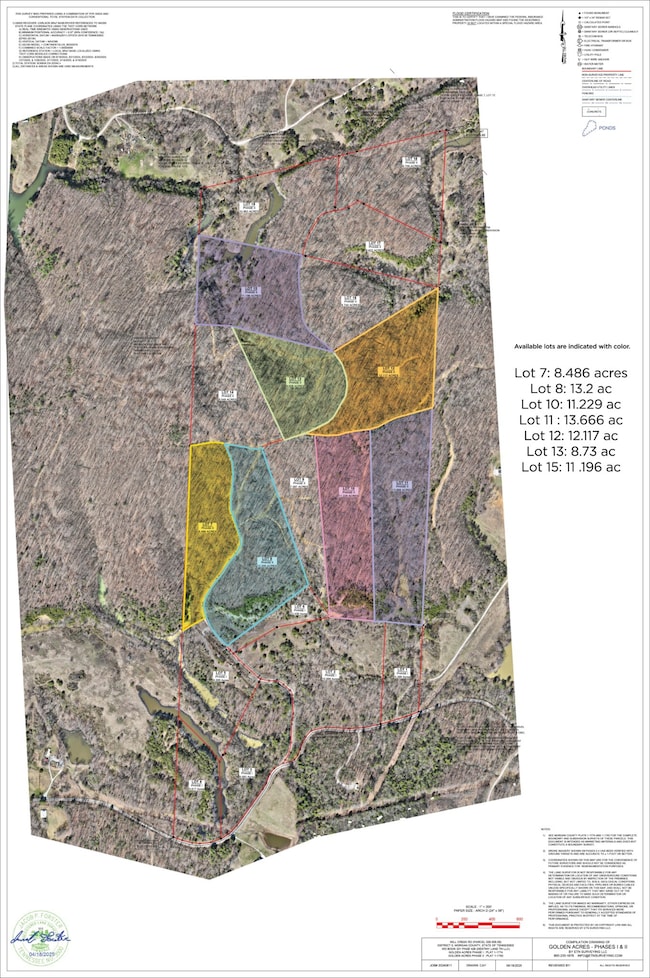 0 Mill Creek Rd, Sunbright, TN 37872 - photo 5