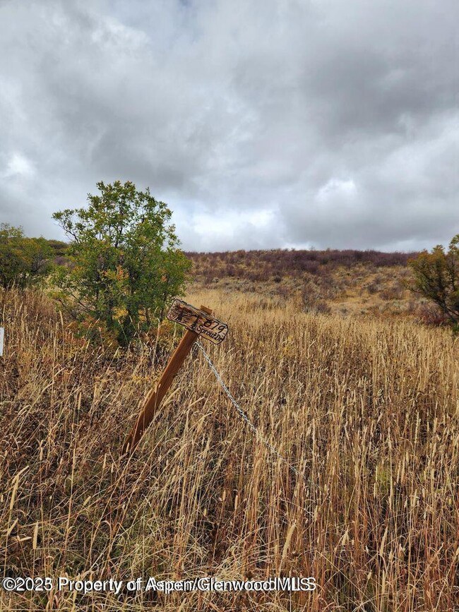 954 Sprout Dr, Craig, CO 81625 - photo 4