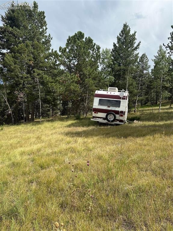 17 and 33 Deer Ridge Trail, Florissant, CO 80816 - photo 3