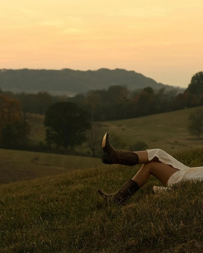 345 Brazier Ln, Gallatin, TN 37066 - photo 4