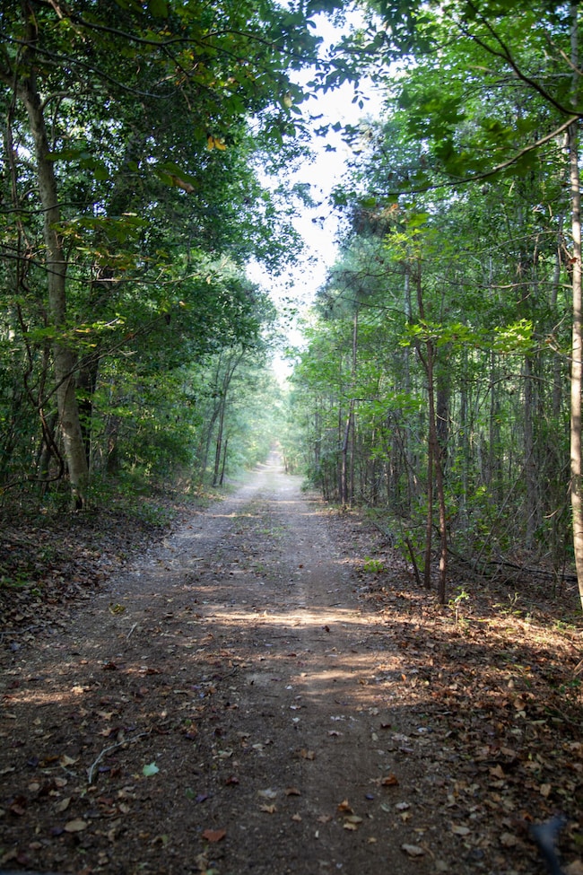 6330 Catchall Rd, Dalzell, SC 29040 - photo 3