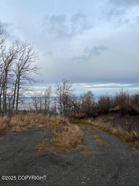 000 Bulgaria Dr, Anchorage, AK 99516 - photo 6